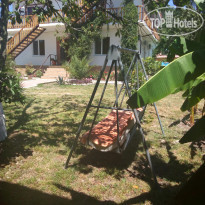 Золотая Рыбка 