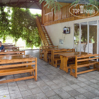 Золотая Рыбка 