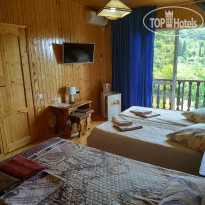 Золотая Рыбка 