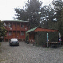 Бамбуковая роща 