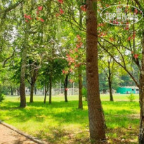 Парк-отель Олимп 