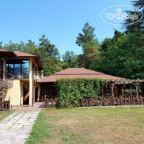 Черное море (на Гицба) 