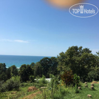 Солнечный Холм 