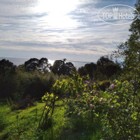 Солнечный Холм 