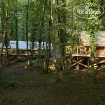 Garuda Glamping Abkhazia 