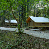Garuda Glamping Abkhazia 