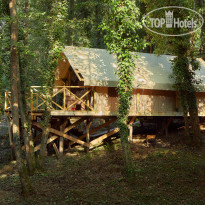 Garuda Glamping Abkhazia 