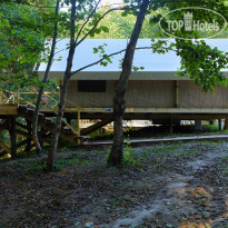 Garuda Glamping Abkhazia 