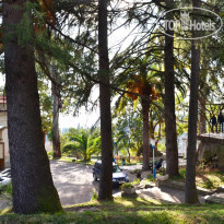 Госдача Сталина 