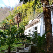 Госдача Сталина 