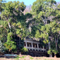 Госдача Сталина 