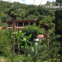 Эль-Платано 