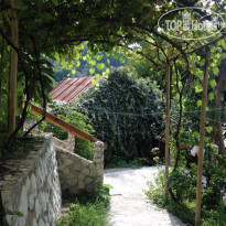 Эль-Платано 