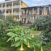 Мэри В мандариновом саду 100 метров