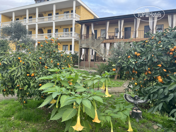 Hotel photo Мэри 