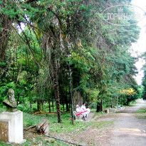 Золотой Берег 