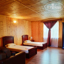 Дени Дельмар 