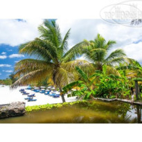 Cocos