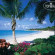 Jumby Bay Island - Oetker Collection 