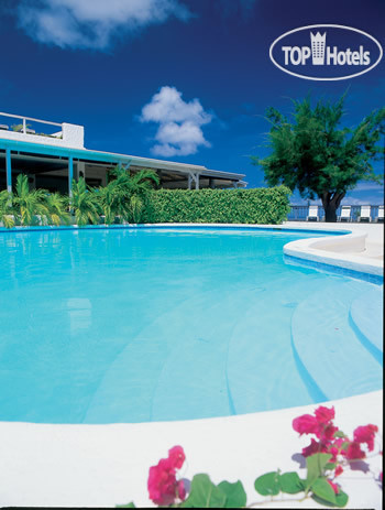 New photos from tourists Trade Winds 4*