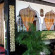 Buddha Villa 