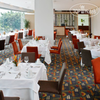 Estelar Milla De Oro 