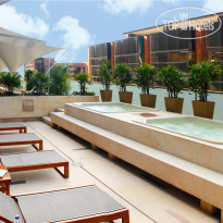 Estelar Milla De Oro 