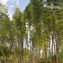 Estelar Recinto Del Pensamiento 