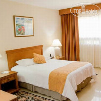 Globales Camino Real