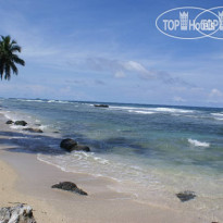 Bananas Village Resort 