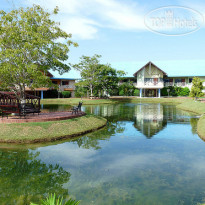 Los Guayacanes