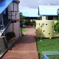Los Guayacanes