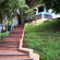 Los Guayacanes 