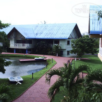 Los Guayacanes