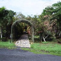 Los Guayacanes