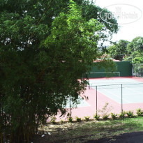 Los Guayacanes