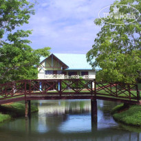Los Guayacanes