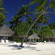 Intercontinental le Moana Resort 