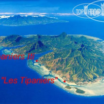 Les Tipaniers