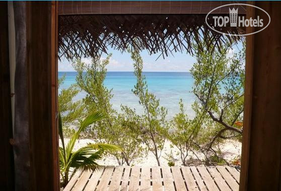 New photos from tourists Tevahine Dream 2*