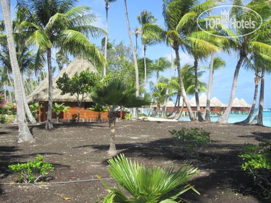 New photos from tourists Kia Ora Resort & Spa 4*