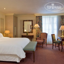 Westin Camino Real
