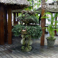 Luna Beach Resort