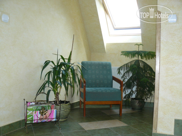 New photos from tourists Villa Aura 2*