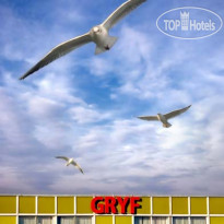 Gryf