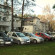 Srodborowianka 