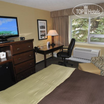 Best Western Denham Inn & Suites