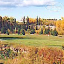 Best Western Black Gold Inn