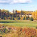 Best Western Black Gold Inn 