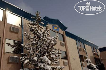 Best Western Black Gold Inn